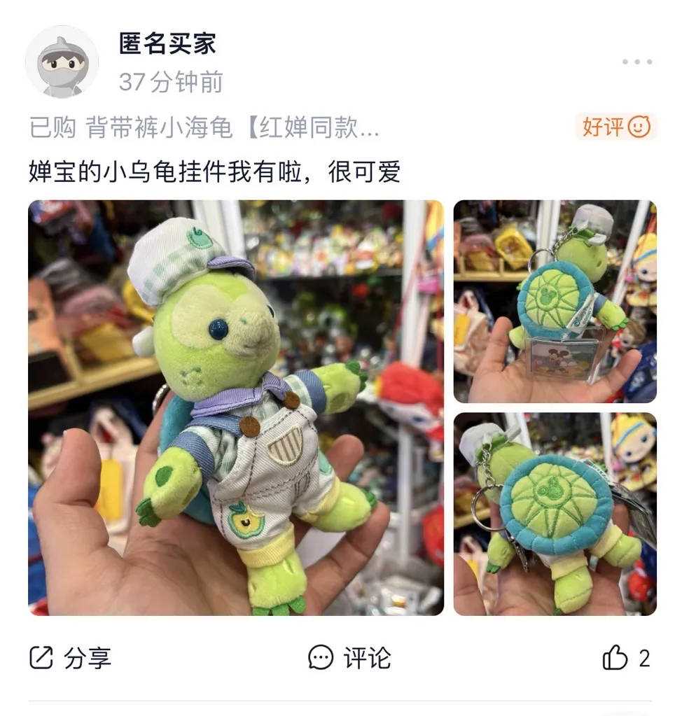 满载而“龟”!全红婵回国后第一件事没晒 晒乌龟