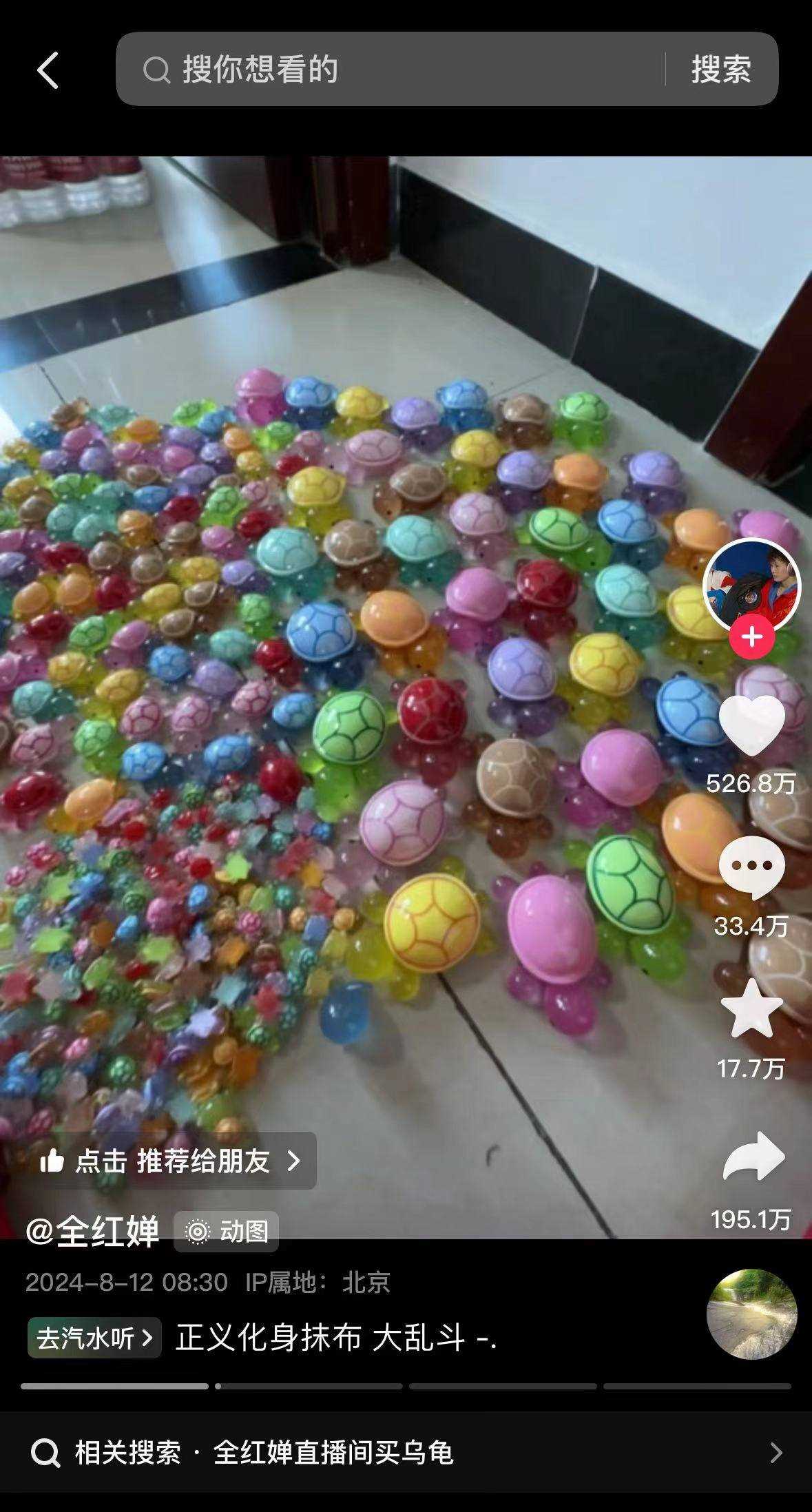 满载而“龟”!全红婵回国后第一件事没晒 晒乌龟