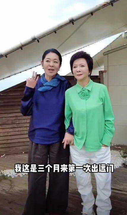 65岁倪萍自曝从楼梯摔下骨折 躺床三个月未出门
