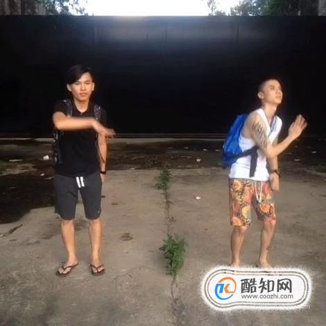社会摇是什么？
