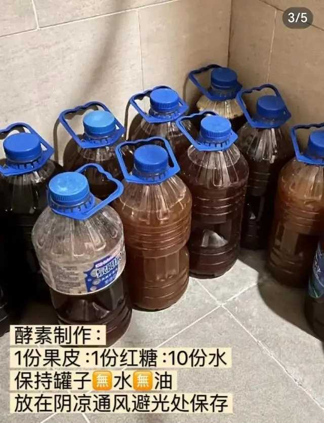 女星曾黎自曝家中有1500斤自制酵素 直接把网友们给整不会了