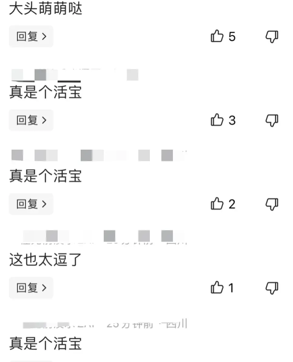 王楚钦挥手告别后发现上错车 一天一个洋相，大头的搞笑天赋藏不住了！