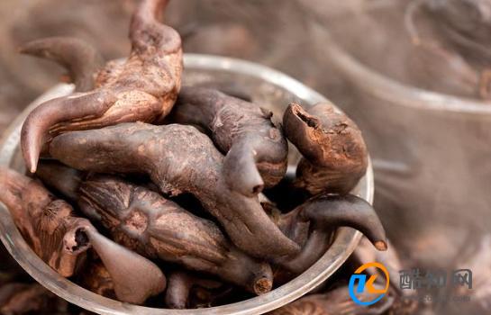 秋天有什么特色食物 秋天有什么代表性食物