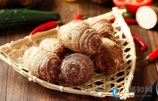 秋天有什么特色食物 秋天有什么代表性食物
