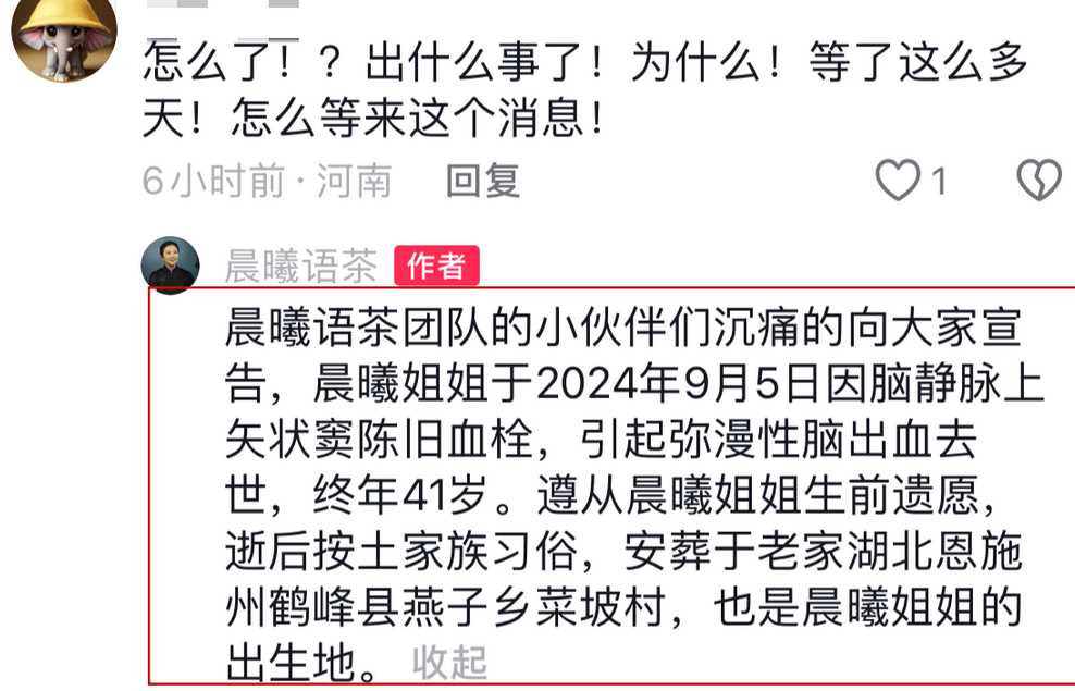 41岁网红晨曦姐姐去世 生前以卖茶和优雅形象闻名