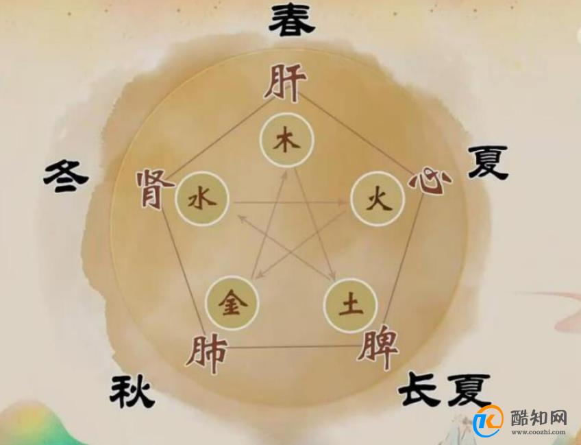 秋季养肺最佳方法 立秋后如何养肺润肺