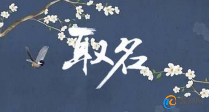 打分100分的男孩名 2024属龙男孩最佳的名字