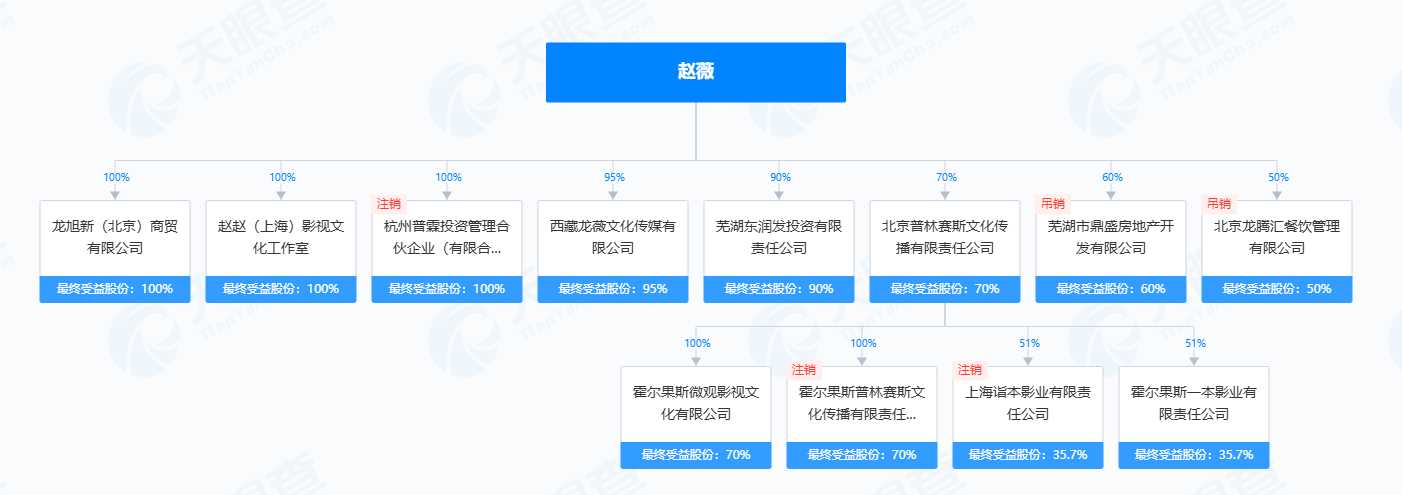 赵薇公司被强制执行14177元 “小燕子”陷证券纠纷漩涡变老赖