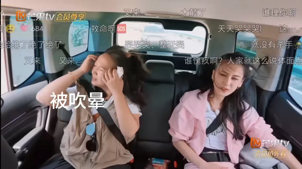 杨子开车窗报复麦琳 “风吹麦浪”画面笑翻全网!