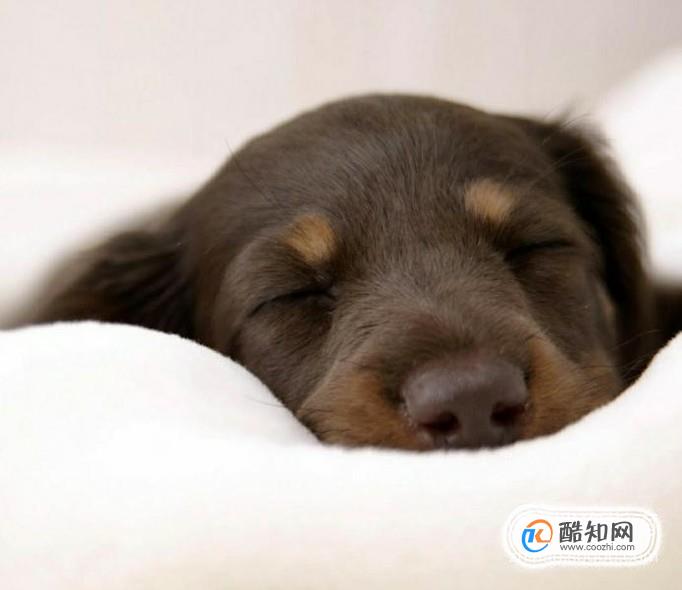 为什么年轻人更容易得躁郁症
