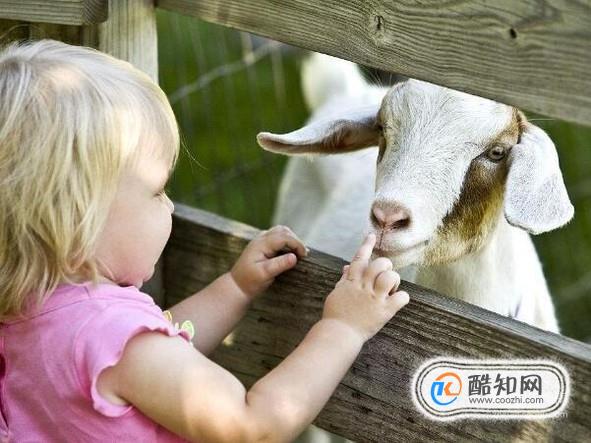 周末可以带孩子上哪儿玩？