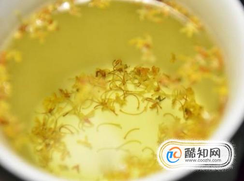 经常喝什么茶可以达到减肥排毒的效果？