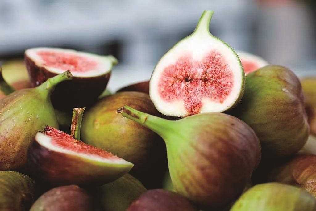 虽是“糖包子”,但推荐你吃点儿