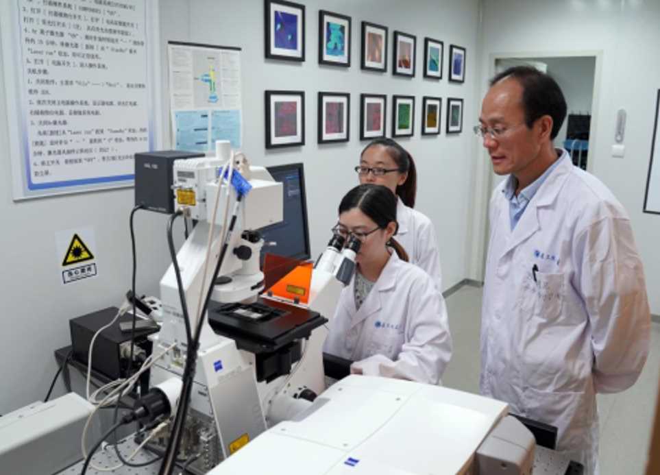 细胞力学通信新突破:解码生命组织的“力语言”
