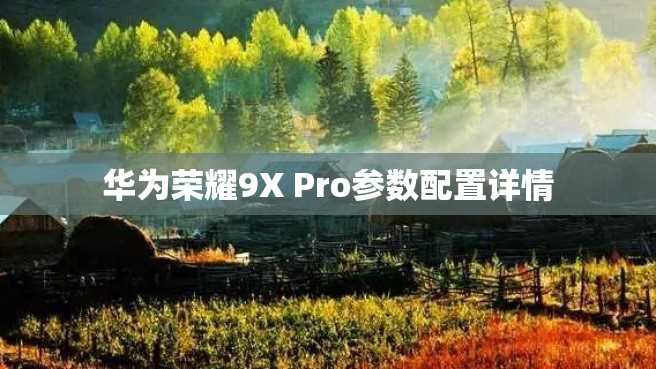 華為榮耀9X Pro參數配置詳情